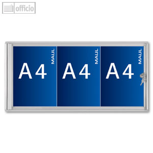 Schaukasten Standard