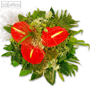 Blumenstrauß Anthurie