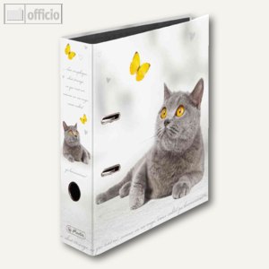Motivordner maX.file Fit for Spring Katze