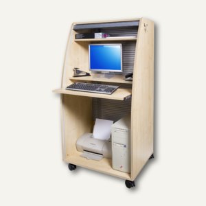 Computerschrank mit Rolltür