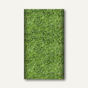 Motiv-Tischdecke "Football", Papier, lackiert, 120 x 180 cm, grün, 15 Stück