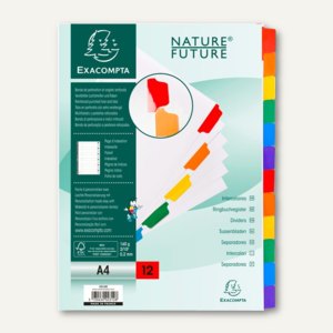 Kartonregister DIN A4