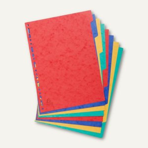 Kartonregister blanko