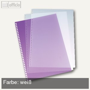 ClearMatt Deckfolie+PolyTechno Rücken