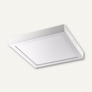 LED-Deckenleuchte 9229