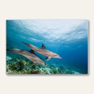 Schreibunterlage Poster Delfin II
