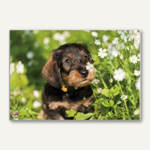 Schreibunterlage Poster - Hund