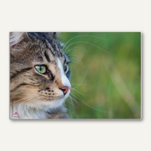Schreibunterlage Poster - Katze II