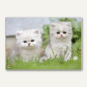 Schreibunterlage Poster Katzen I