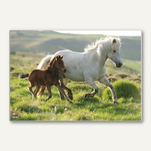 Schreibunterlage Poster - Pferde I
