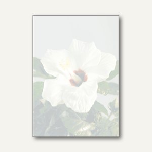 Motiv-Papier Passion
