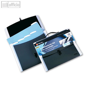 Rexel Professional Range Fächermappe
