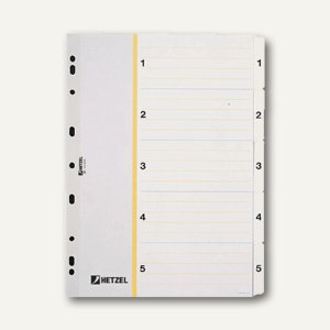 Kartonregister DIN A4