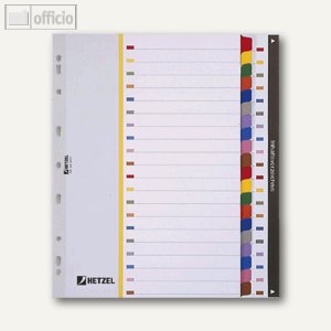 Karton-Register DIN A4