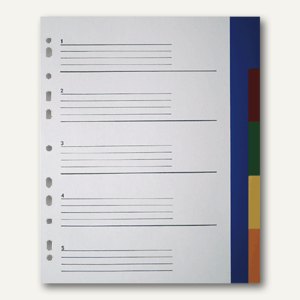 Kunststoff-Register blanko
