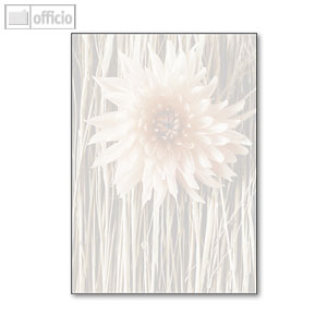 Motiv-Papier Straw Flower