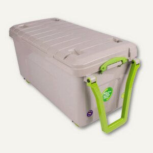 Aufbewahrungsbox Recycling