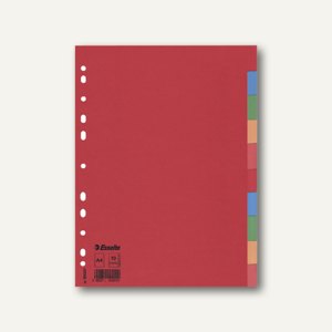 Karton-Register DIN A4 Blanco