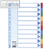 Esselte Karton-Register, DIN A4, 160g/m², 10-teilig, 100193
