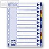 Esselte Kunststoff-Blanko-Register DIN A4, 12-teilig, 15262