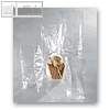 Folia Zellglasbeutel, 95 x 160 mm, transparent, 10 Stück, 280