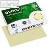 Papier EVERCOLOR PASTELL, DIN A4, 80g/m², hellgelb, 500 Blatt, 40005C