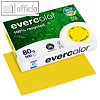 Clairefontaine Papier EVERCOLOR INTENSIV, DIN A4, 80g/m², gelb, 500 Blatt