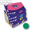 Clairefontaine Papier Trophee Intensiv, DIN A4, 160g/m?, tannengr?n, 1019PC