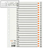 Bene Kunststoff-Buchstagen-Register, DIN A4, A-Z, 20 Blatt, 93208