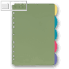 PP-Register 5-teilig A4, blanko Taben, 5 farbig transparent, 25 St., 4245800