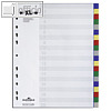 Durable Register Blanko blanko/ Überbreite - 20 Blatt