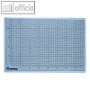 Ecobra Schneidunterlage transparent, 45 x 30 cm, 2 St?ck