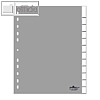 Kunststoff-Register DIN A4+, blanko, Schilder bedruckbar, 12-tlg., grau, 6446-10