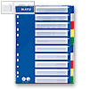 LEITZ Kunststoff-Register, blanko 10-teilig, DIN A4, PP, mehrfarbig, 1256-60-00