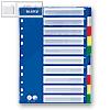 Leitz Register Blanko 10-teilig