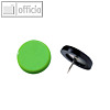 Laurel Rei?nagel, ? 14 mm, Stifth?he 6 mm, hellgr?n, 100 St?ck, 2770-17