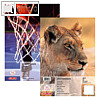 Herlitz Zeichenblock DIN A3, 100 g/qm, perforiert, 20 Blatt, 400132897