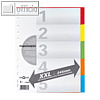 Pagna Register XXL, Karton, A4-Überbreite, 5-teilig, farbig, 1 Satz, 32004-20