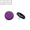 Laurel Superrei?nagel, ? 40 mm, Stifth?he 5.5 mm, violett, 100 St?ck, 2740-18