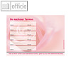 officio Terminzettel ROTE ROSE, 6 Termine, 100 x 70 mm, 10 Bl?cke ? 50 Blatt