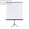 Franken Stativ-Leinwand X-tra!Line 1:1, 150 x 150 cm, wei?, LWST215