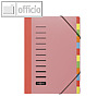 Pagna Ordnungsmappe, 12-teilig, f?r DIN A4, transparent, 44044-13
