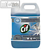 Cif Glasreiniger Professional Power, Glas & Fl?chen, Kanister, 5000 ml, 7517832