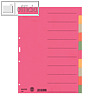 LEITZ Karton Register blanko, DIN A4, 10-teilig farbig (durchgefärbt),4359-00-00
