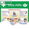 Hinweisschild "Erste Hilfe Info", nach BGV A8 und DIN 4844, PVC, 560 x 400 mm