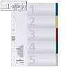 Register Kunststoff, blanko, DIN A4, 5-tlg., farbige Taben, 25 Stück, 6730-27