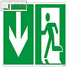 Hinweisschild "Notausgang", 30 x 15 cm, nachleuchtend, PVC, gr?n/wei?, 490316000