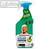 Flächenreiniger-Spray "Sprühen-Wischen-Fertig", antibakteriell, 800 ml