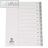 officio Monats-Register, DIN A4, Januar-Dezember, PP-Kunststoff, 120my, 12 Blatt