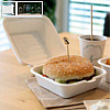 Burgerbox mit Deckel, 150 x 150 x 85 mm, Zuckerrohr, weiß, 50 Stück, 41215